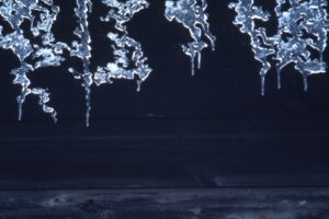 Winter detail photograph